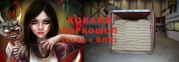шишки Алзамай