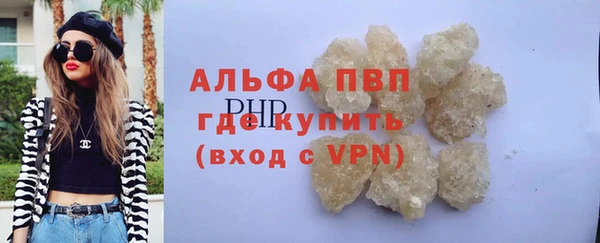 шишки Алзамай