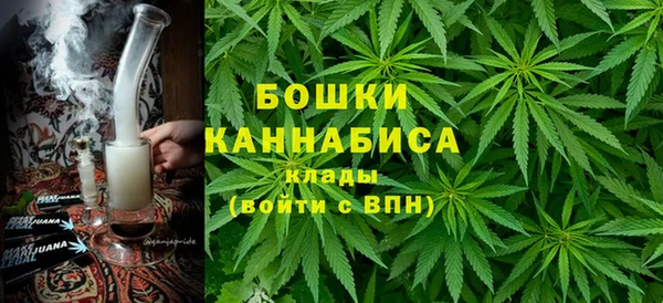 шишки Алзамай