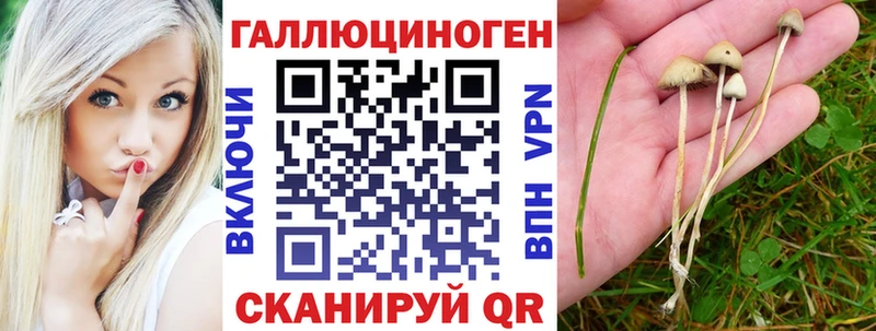 Псилоцибиновые грибы прущие грибы  Новая Ляля 